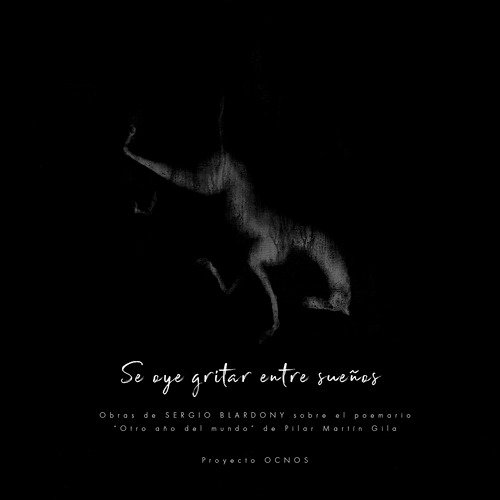Se Oye Gritar Entre Sueños - I cover art