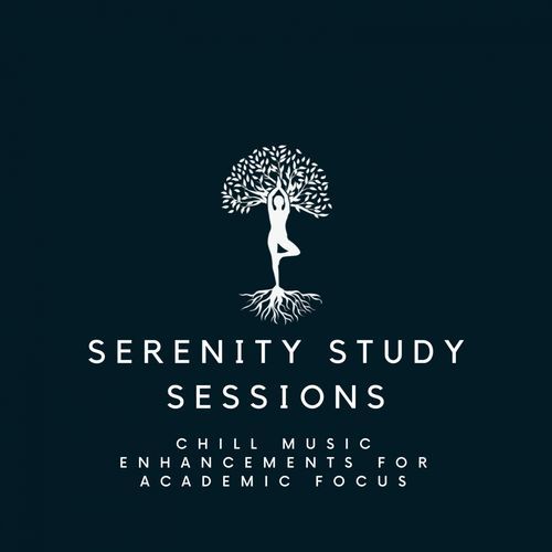 Serenity Study Sessions: Chill Music Enhancements for Academic Focus_poster_image