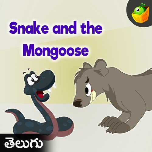 Snake And The Mongoose