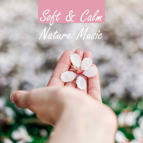 Forest Music cover art