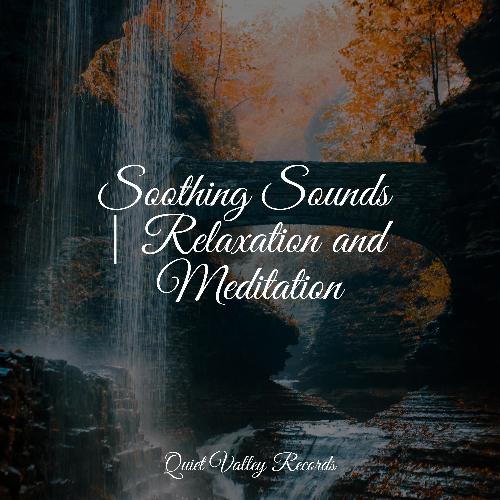 Sleep Music cover art