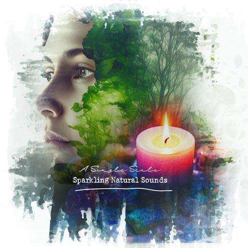 Organic Birdsong cover art