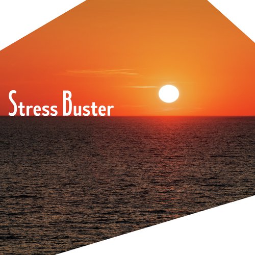 Stress Buster - Ocean Calming Music to Relax the Mind and Body_poster_image