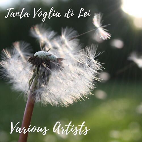 Tanta voglia di lei
