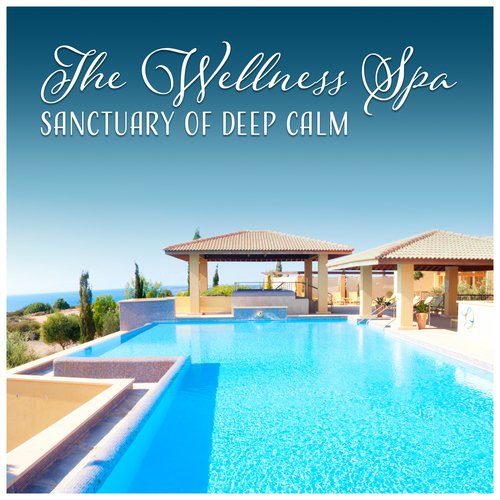 The Wellness Spa cover art