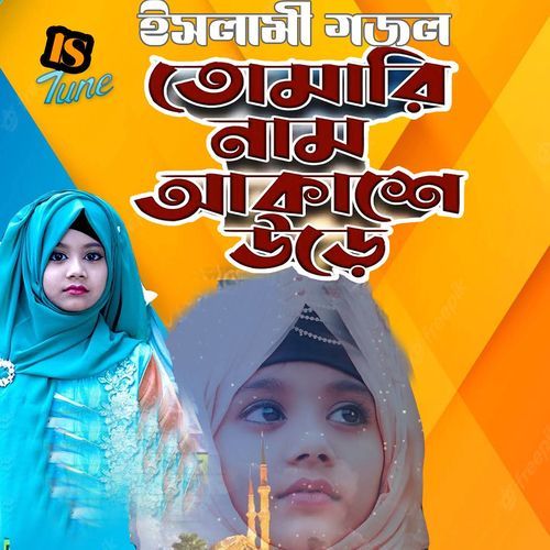 Tomarn Nam Akashe Ure Provu