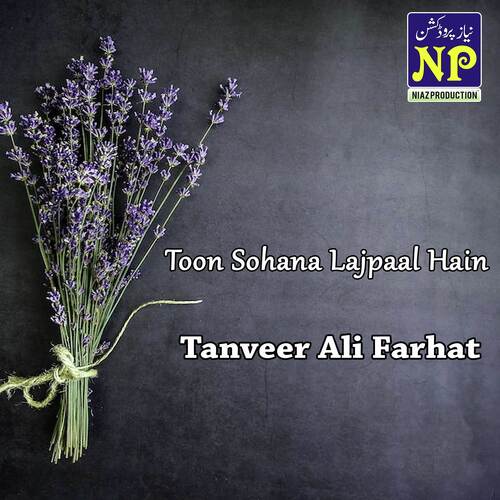 Toon Mul Bahoo Da Der