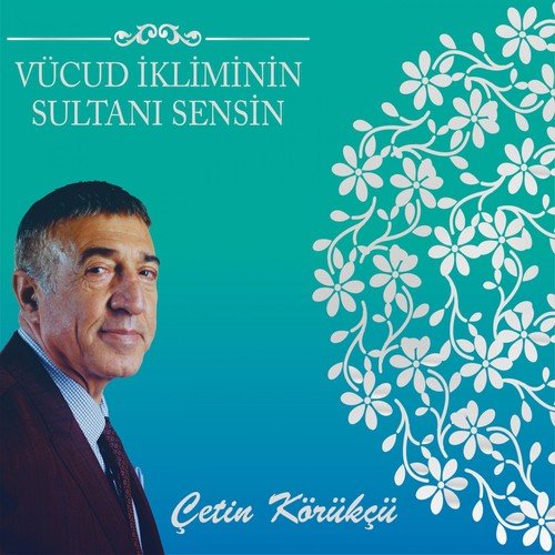 Çetin Körükçü