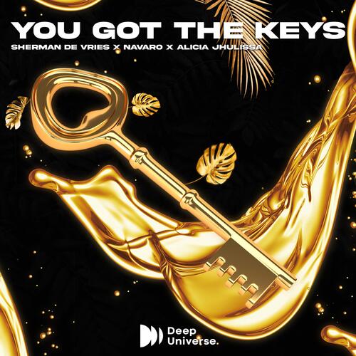 You Got The Keys_poster_image