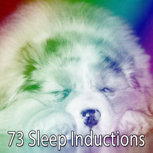 73 Sleep Inductions