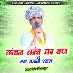 कंचन कांच का बण गया राडाजी श्याम