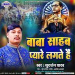 Baba Saheb Pyare Lagte Hai