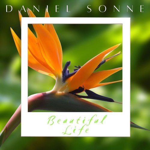 Beautiful Life
