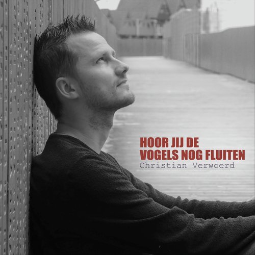 Hoor Jij De Vogels Nog Fluiten cover art