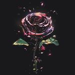 I'm In Love With You