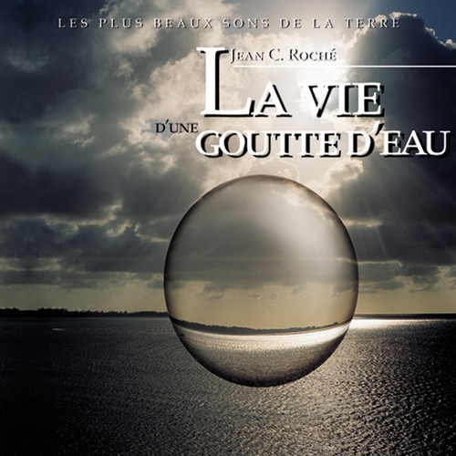 Bouillonnements cover art