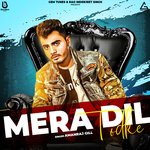 Mera Dil Todke