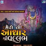 Mero To Aadhar Shree Vallabh
