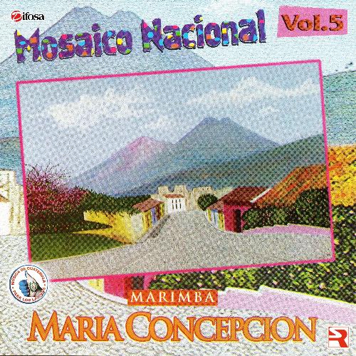 Mosaico Nacional Vol. 5: Que Chorchita / San Juan Ostuncalco / Maria Elena / Brenda Lorena / Maricumbia / Fracaso de Amor / Danzón / De Madrugada / La Matraquita / La Fiesta de Mi Pueblo cover art