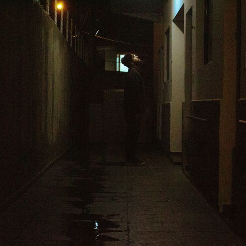 Elefantes cover art