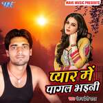 Pyar Me Pagal Bhaini