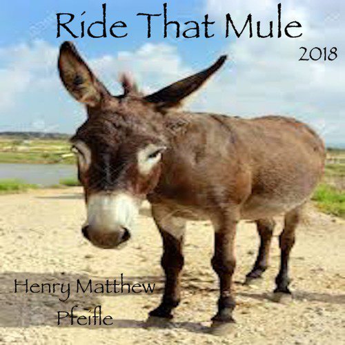 Ride That Mule