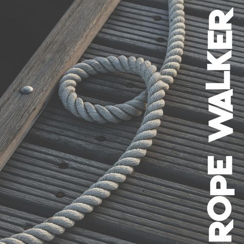 Politician leaps cover art