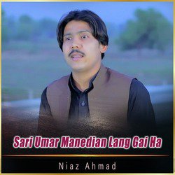 Sari Umar Manedian Lang Gai Ha - Single