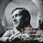 Piano Sonata No. 19 in C Minor, D. 958: I. Allegro