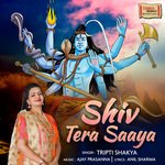 Shiv Tera Saaya