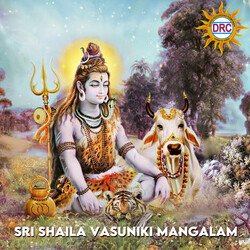 Sri Shaila Vasuniki Mangalam-HQE4BD10XAc