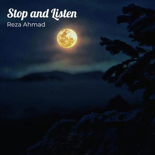 Stop and Listen