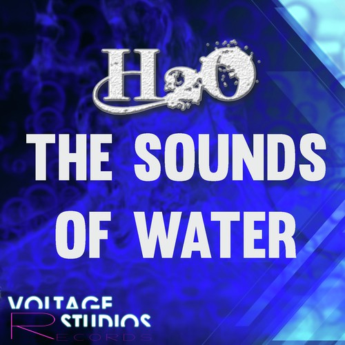 H2O DJS