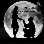 Tere Bin