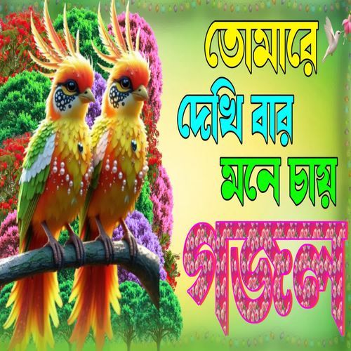 Tomare Dkhibar Mone Chai.mp3