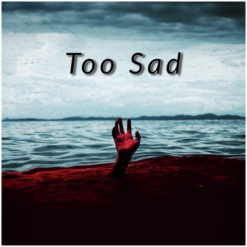 Too Sad_poster_image