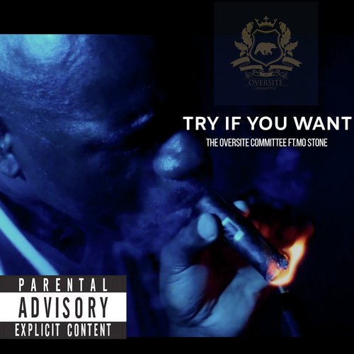 Try If You Want cover art