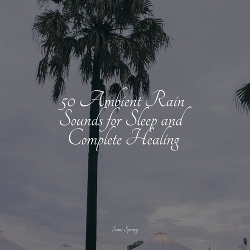 50 Ambient Rain Sounds for Sleep and Complete Healing