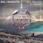 All On You (If I Can See) [Extended Mix] (Extended Mix)