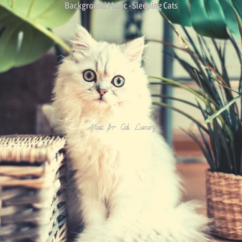 Kittens (Memories) cover art