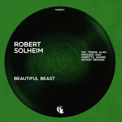 Beautiful Beast (Dan Ferritto Remix) cover art