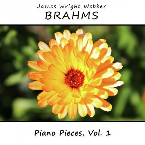 Brahms: Piano Pieces, Vol. 1