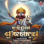 Charijuge Shree Jagannath