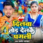 Dilwa Tod Delkai Pagli
