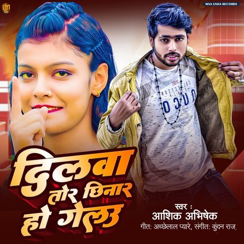 Dilwa Tor Chhinar Ho Gailo (Bhojpuri)