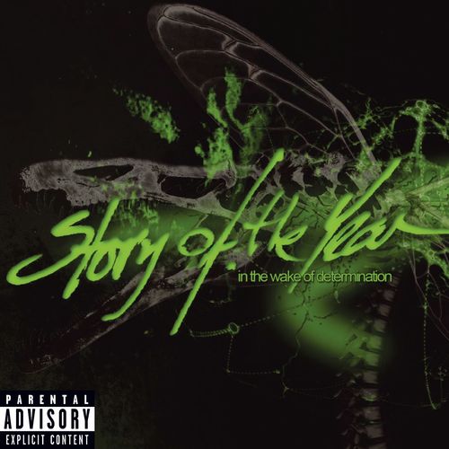 In the Wake of Determination