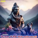 Kailash Me Baitho Bholo Mhadev Bam Lahari