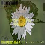 Margarida dub perfumada