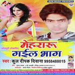 Mehraru Gail Bhaag