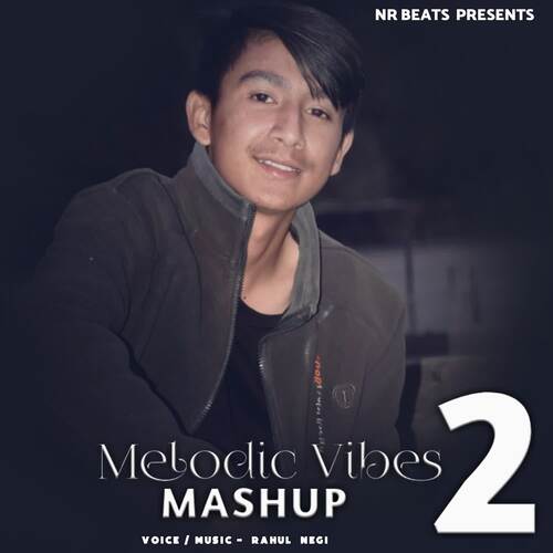 Melodic Vibes Mashup 2